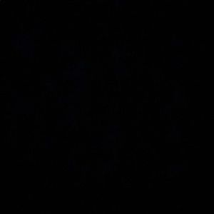 Meet your Posher, Bella